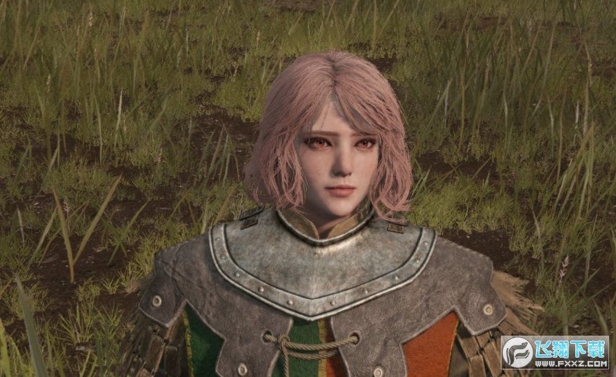 艾尔登法环粉毛短发美少女MOD截图2